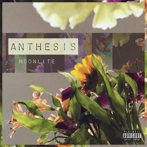 Anthesis (Explicit)