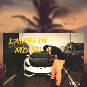 Lambs In Miami (Explicit)