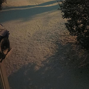 I don't need you (feat. Babykakarot & Endurxnce) (Explicit)