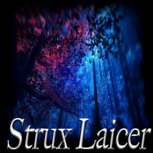 Strux Laicer