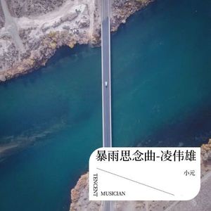 暴雨思念曲-凌伟雄