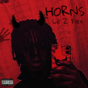 HORNS (Explicit)