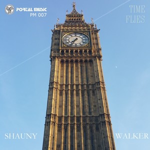 Drones In The Sky (Original Mix)