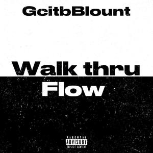 Walk Thru Flow (Explicit)