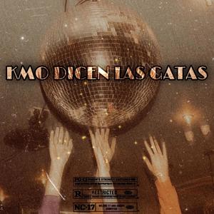 Kmo Dicen Las Gatas (feat. Ilncho & Icy G) (Explicit)