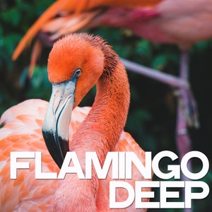 Flamingo Deep