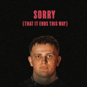 Sorry (That It Ends This Way)