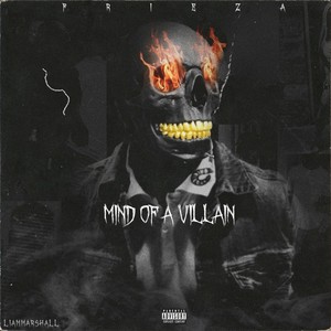 Mind Of A Villian