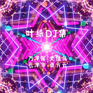 叶纸DJ集