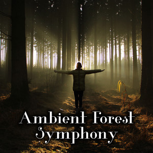 Ambient Forest Symphony – Nature Sounds Collection for Deep Relaxation, Sleep, Rest, Meditation, Body, Mind & Soul, Total Comfort, Inner Bliss, Morning Breeze