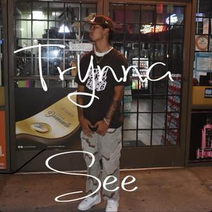 Trynna See