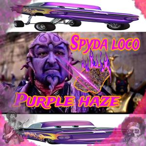 Seeing Purple haze (Fkd up 2 ) [Explicit]