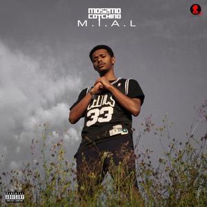 Changement de thème (Explicit)