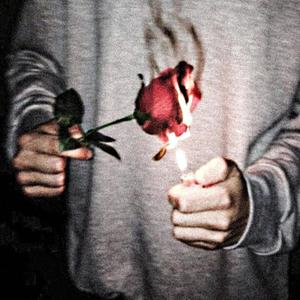 Burning Roses (Explicit)