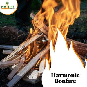 Harmonic Bonfire