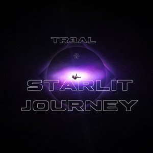 Starlit Journey