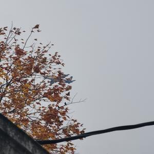 TOO MUCH POWER! (Explicit)