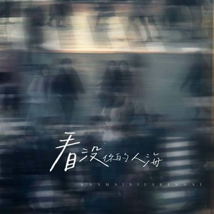 看没你的人海