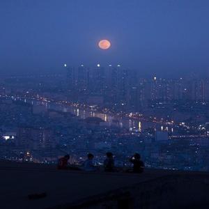 crave you (Explicit)