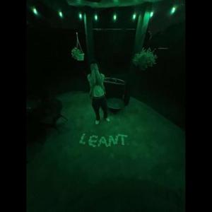 Geekaleeked (feat. Leant) (Explicit)