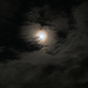 bury me in my docs (Explicit)