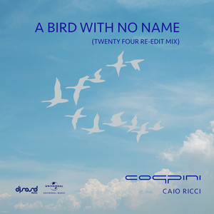 A Bird With No Name (Twenty Four Re-Edit Mix)