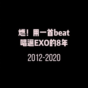 EXO-一首beat唱遍EXO的8年 (激辣味噌 remix)