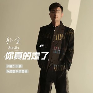 你真的走了封面