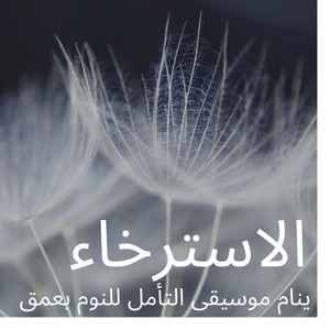 النوم طوال الليل