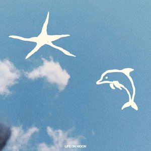 Dolphin Groove