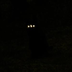 is it me/weareevil (Explicit)