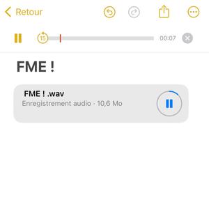 FME ! (Explicit)