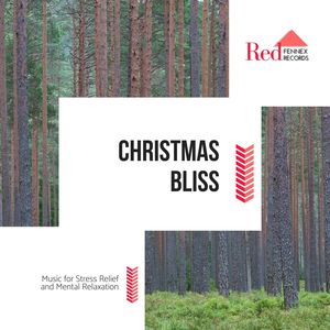 Christmas Bliss - Music For Stress Relief And Mental Relaxation