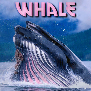 Whale (prod. by NoMercyGang)