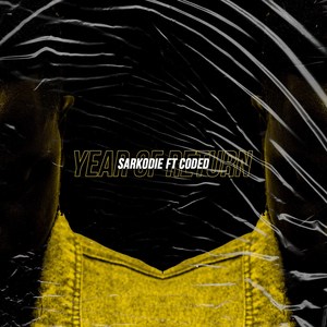 Year of Return (Explicit)