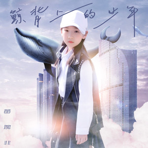 鲸背上的少年 (伴奏)