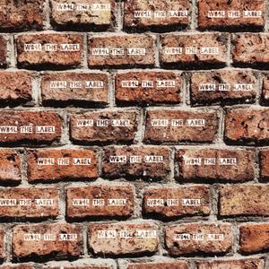 Why You Lie (Explicit)