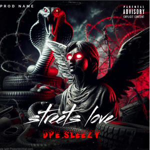 Street love (Explicit)