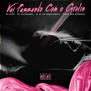Vai Passando Com o Grelin (Explicit)