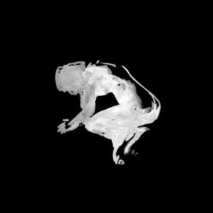 Epikoinoniologoi(feat. Anna Linardou)