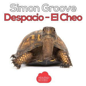 Despacio - El Cheo