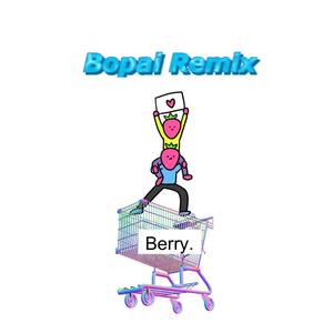 李佳隆-BERRY (Bopai Remix)