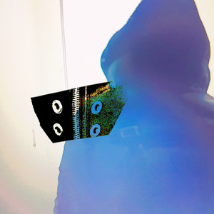 FREEWILLYYY (Explicit)