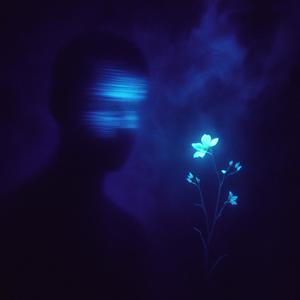 Echo