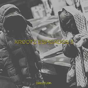 XROOTZ ESPIGADOS 3 (Explicit)