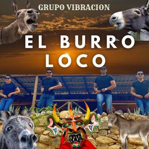 El Burro Loco