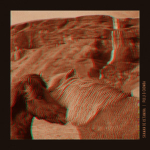 Shaman de Ketamina (mytripismytrip Remix)