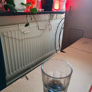 ILLA RPD RIMPUNDARN (Explicit)