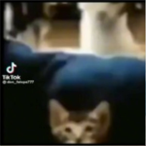 Bad money (Explicit)