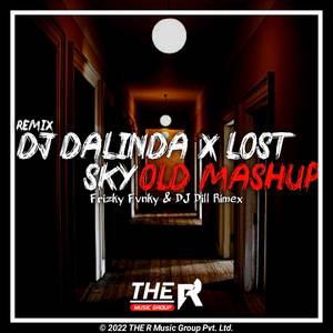 DJ Enakeun V5 X Lost Sky X Dalinda Old Mashup (Remix)